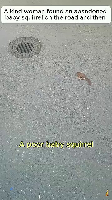 A tiny squirrel grips a small feeding tube with both paws, drinking a specialized formula.