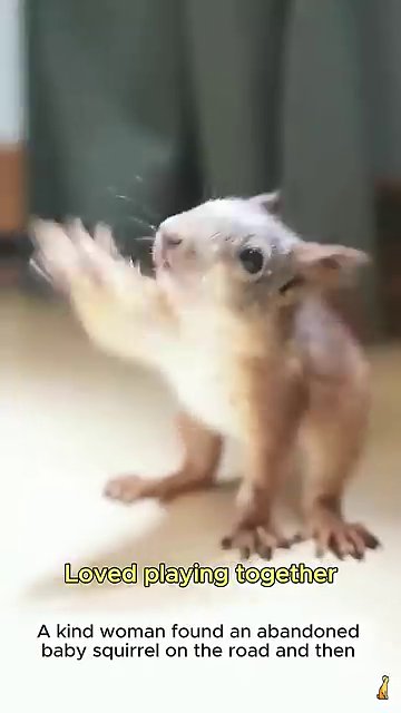 A person holds the squirrel up to a car window, the small animal looking out with calm curiosity.